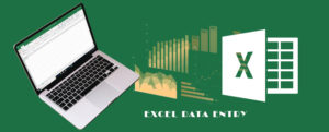 Excel Data Entry