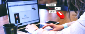 Product Data Entry Services